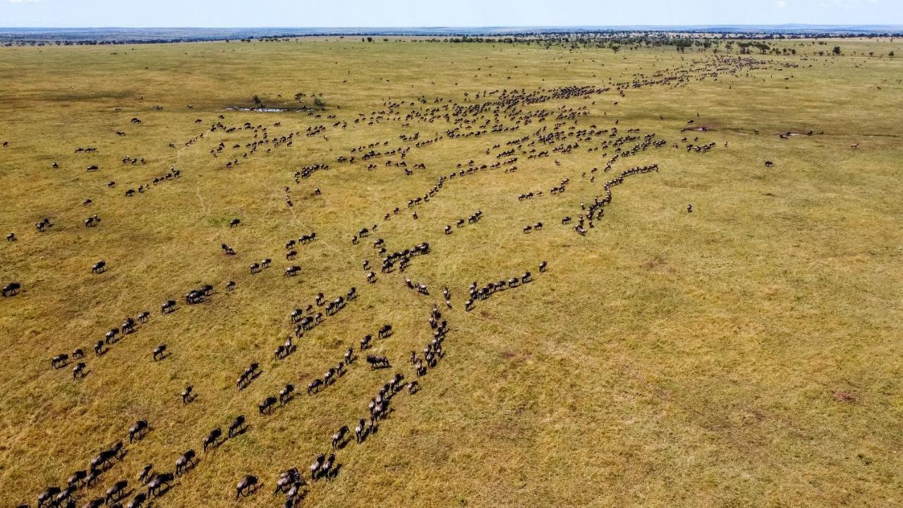 Africa Safari Serengeti Ikoma المظهر الخارجي الصورة