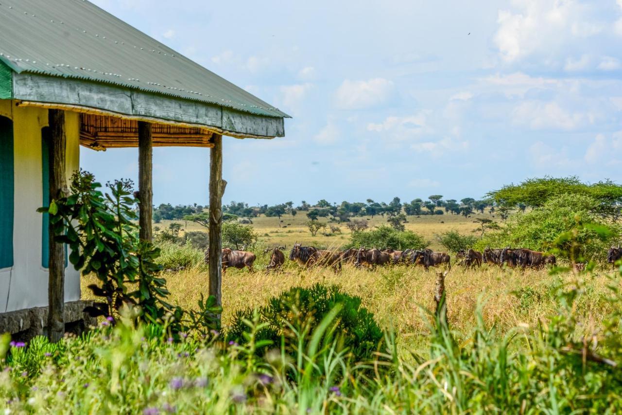 Africa Safari Serengeti Ikoma المظهر الخارجي الصورة