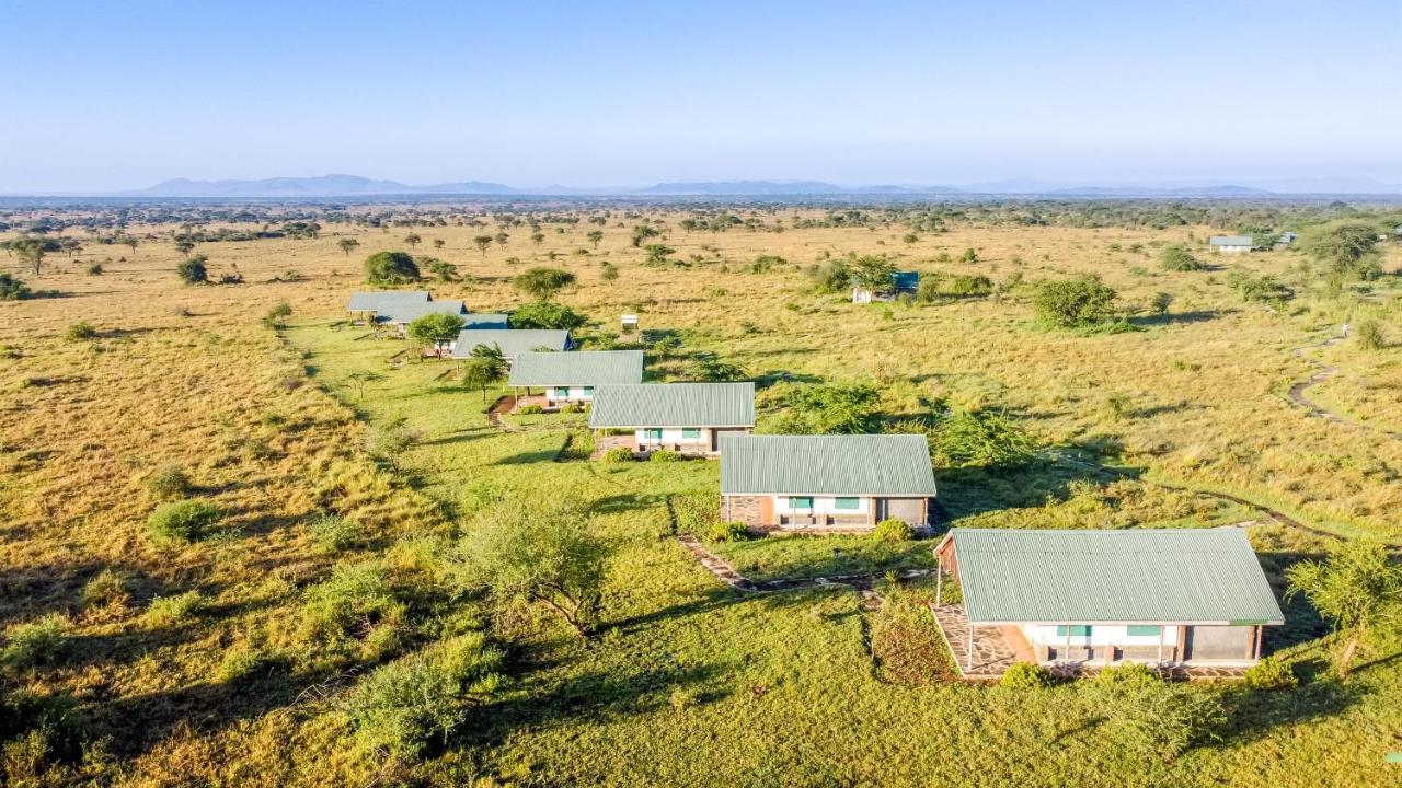 Africa Safari Serengeti Ikoma المظهر الخارجي الصورة