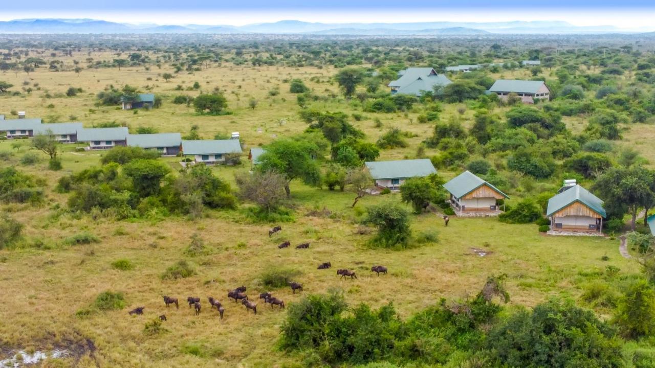 Africa Safari Serengeti Ikoma المظهر الخارجي الصورة