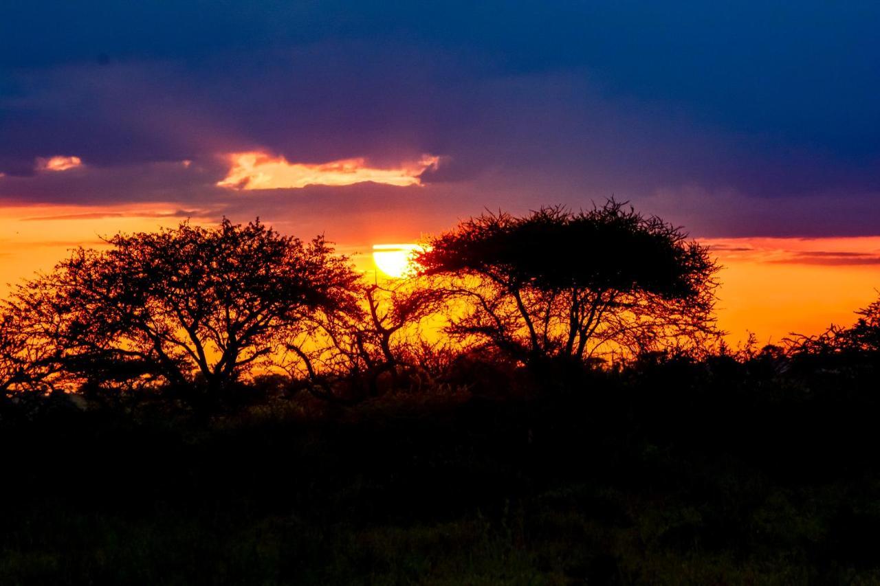 Africa Safari Serengeti Ikoma المظهر الخارجي الصورة