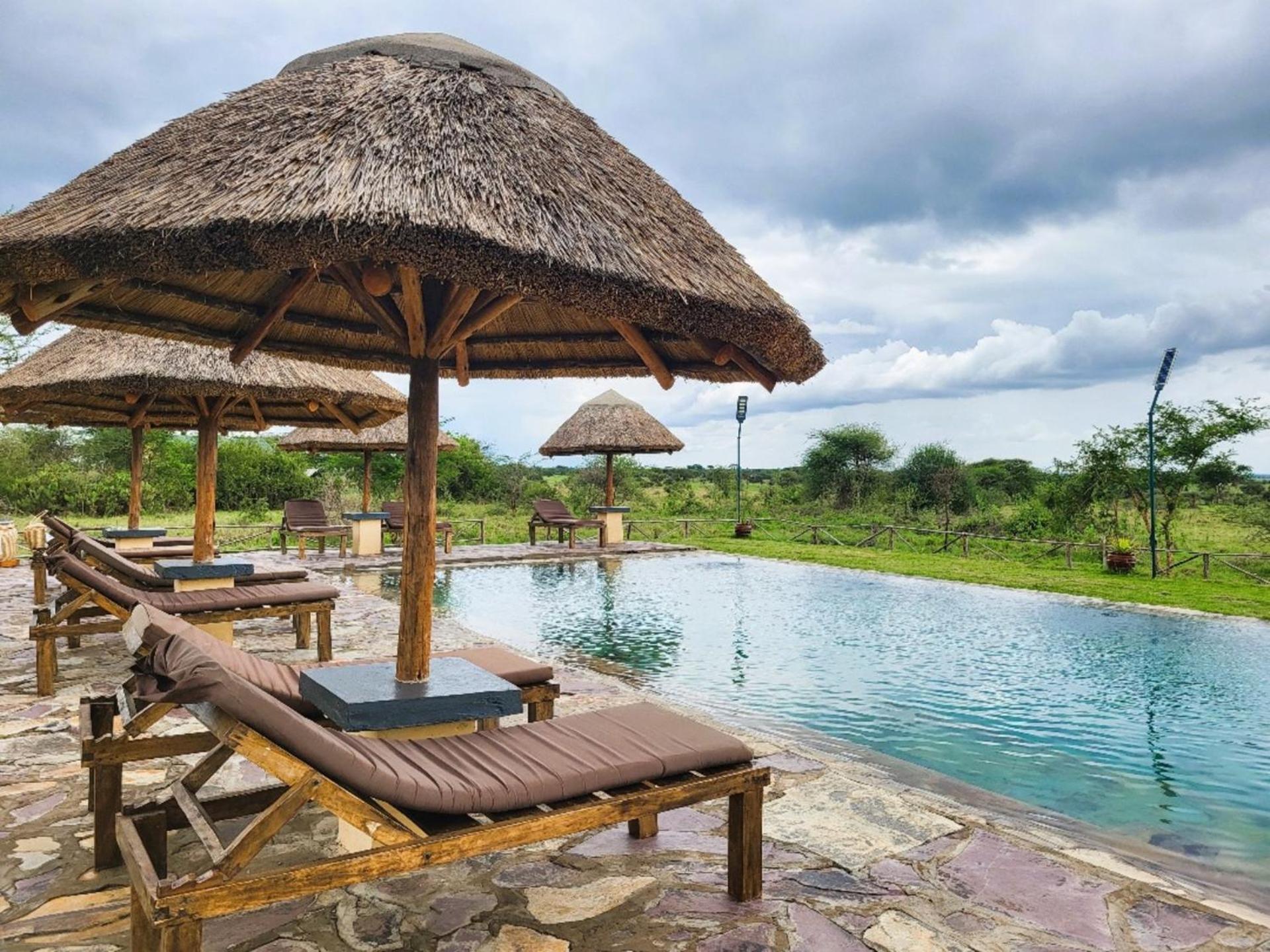 Africa Safari Serengeti Ikoma المظهر الخارجي الصورة